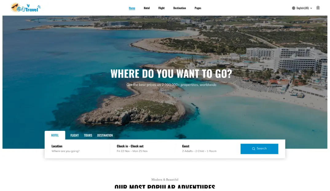 theme1 dummy website